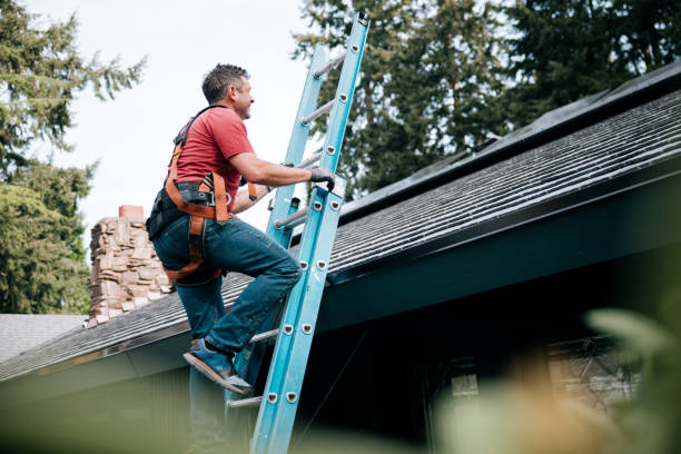 Steel Roofing in West Hollywood, CA